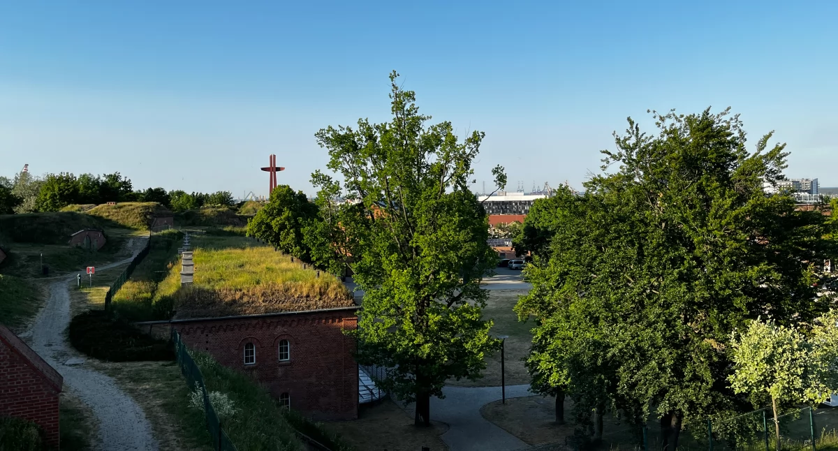 Przyroda, Lumina Parku jednak będzie Presja mieszkańców przyniosła efekty - zdjęcie, fotografia