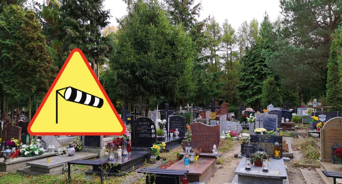 Alerty pogodowe, Silny wiatr Trójmieście odwiedzających cmentarze zmianę planów - zdjęcie, fotografia