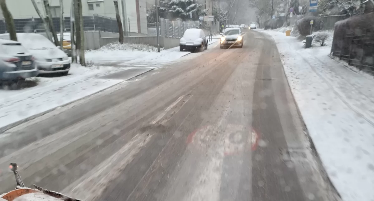 fot. ZDiZ Sopot