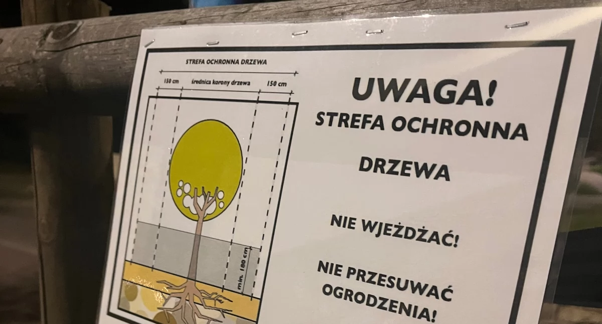 Przyroda, Zieleń końcu będzie chroniona Gdańska Karta Drzew wchodzi życie - zdjęcie, fotografia