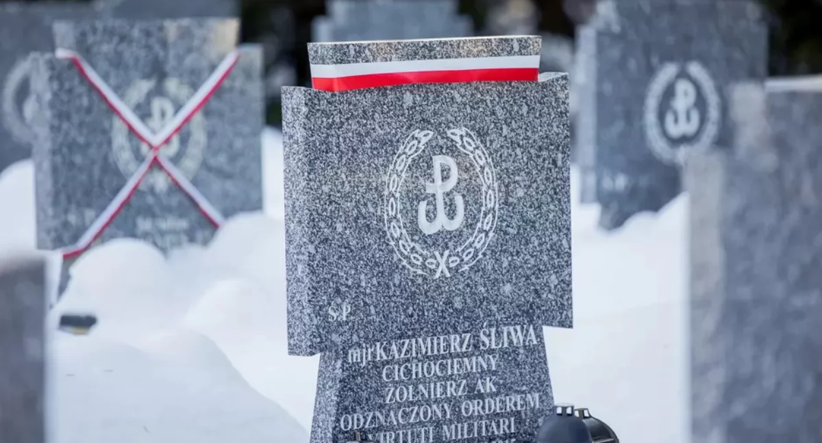 fot. Dominik Paszliński