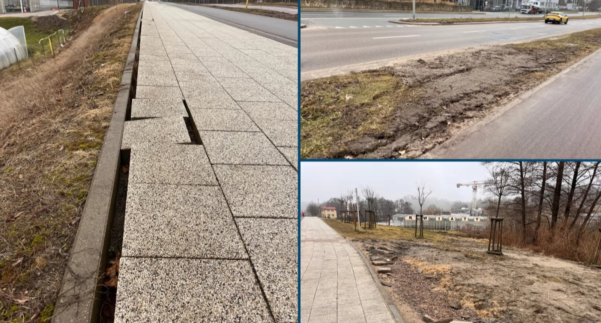 Drogi, Miesiące bałaganu pracach miejskiej spółki Zniszczone drzewa trawniki brudne krzywe chodniki - zdjęcie, fotografia
