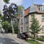 Kondycja drzewa nie była najlepsza również w zeszłoroczne wakacje, fot. Google
