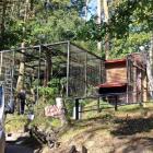 Fot. ZOO Gdańsk