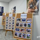 fot. Magdalena Czernek (gdynia.pl)