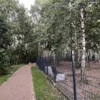 zdjęcie nr 17