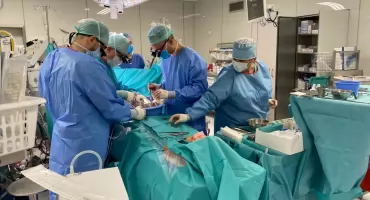 Od czterech lat jesteśmy w czołówce w transplantacjach. Skąd tak wysoki wynik?